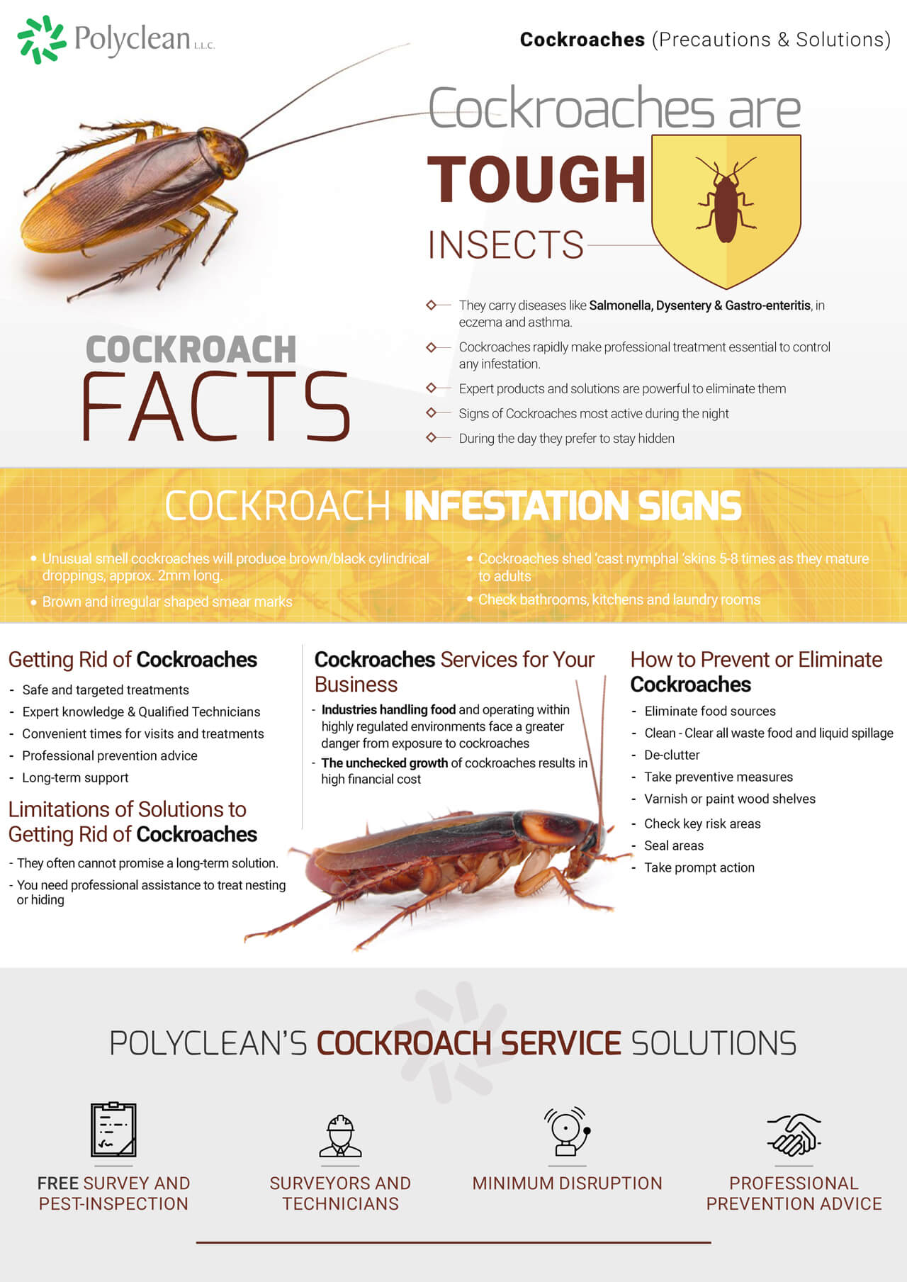crawling-insects-cockroaches-2