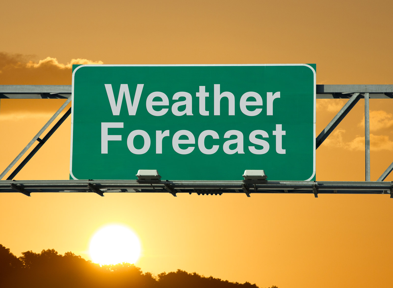 Weather Forecast – Turf Division